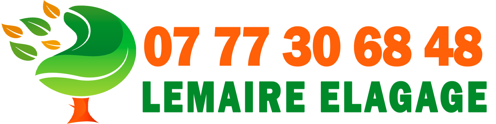 Lemaire Élagage à Meaux (77100) - Entretien d'Espaces Verts, Élagage et Abattage d'Arbres en Seine-et-Marne