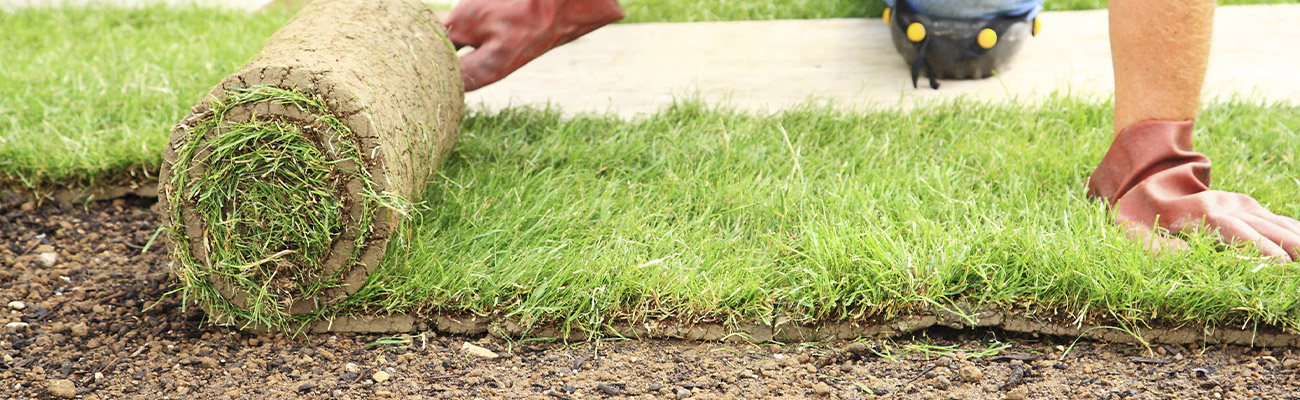 Pose de Pelouse et Gazon à Meaux (77100) – Experts en Aménagement de Jardins en Seine-et-Marne